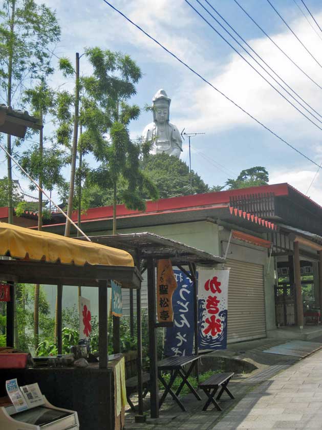 Shopping street with Byakue Kannon in the background, Takasaki, Gunma.