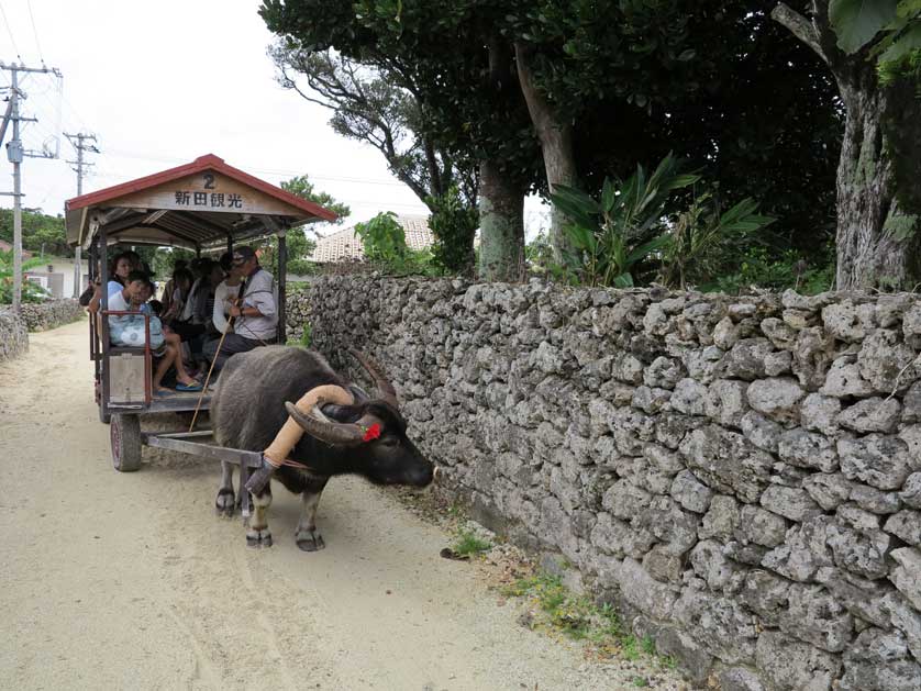 Suigyusha, Taketomi Island, Okinawa.