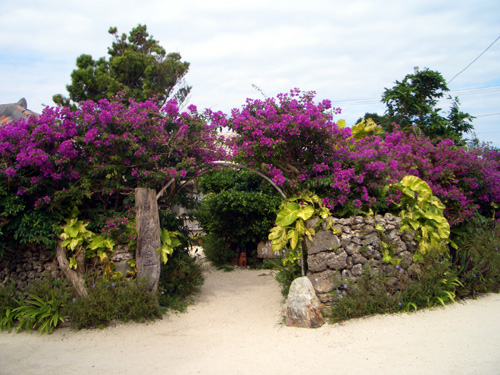 Taketomi Island, Okinawa, Japan.