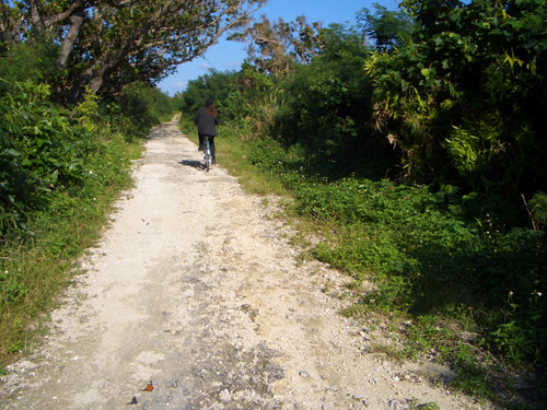 Taketomi Island, Okinawa.