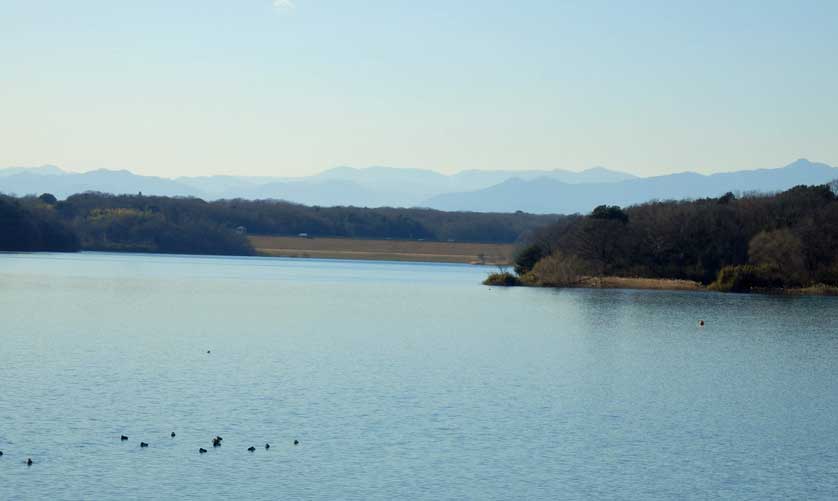 Tama Lake, Tokyo, Kanto, Japan.