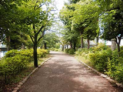 Tamagawa Josui, Japan.