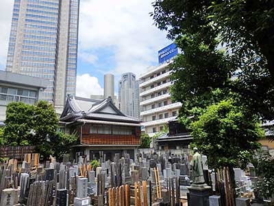 Tamagawa Josui, Japan.