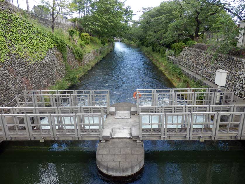 Tamagawa Josui, Japan.