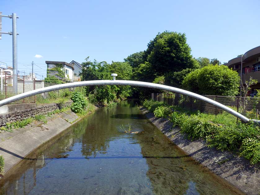 Tamagawa Josui, Japan.