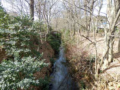 Tamagawa Josui, Japan.