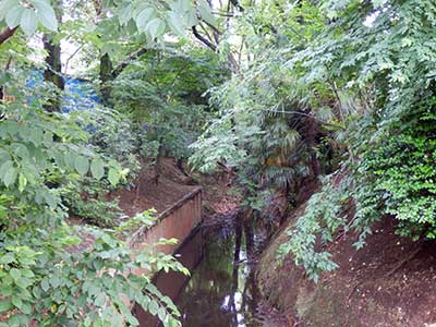 Tamagawa Josui, Japan.