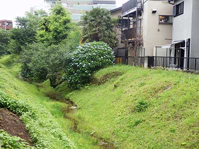 Tamagawa Josui, Japan.