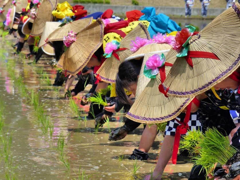 Tauebayashi, Japan.