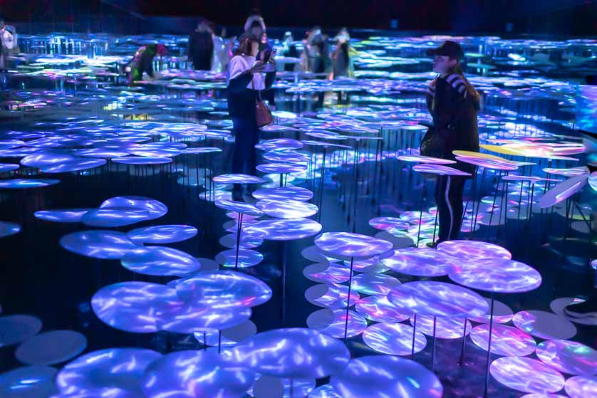 Memory of Topography, TeamLab Borderless, Odaiba.