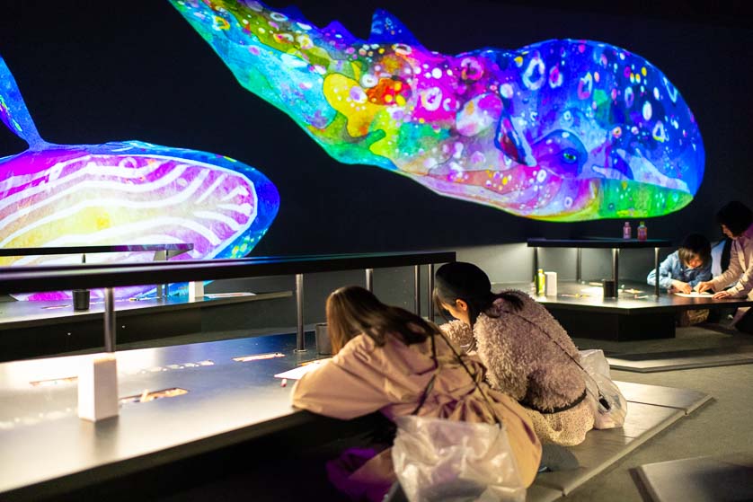 Sketch Aquarium, TeamLab Borderless, Odaiba.