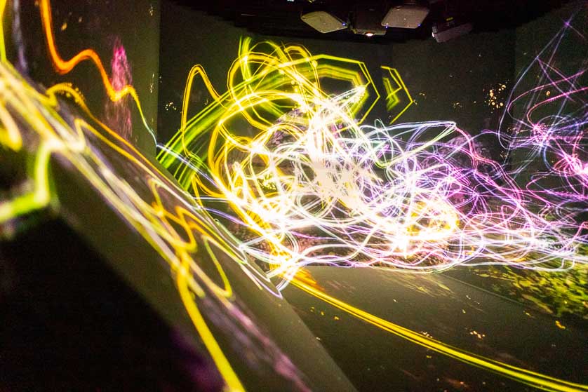 Light show, TeamLab Borderless, Odaiba.