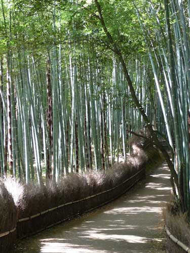 Tenryuji Temple, Arashiyama, Kyoto.