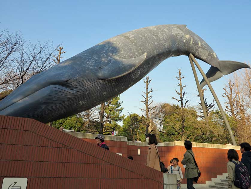 National Museum of Nature and Science, Ueno, Tokyo.