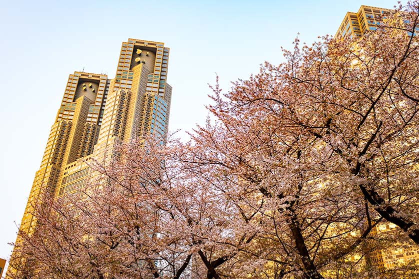 Tokyo Metropolitan Government Building, Tokyo, Japan.