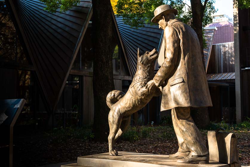 Professor Ueno and Hachiko statue, Yayoi Section, Hongo Campus, University of Tokyo.