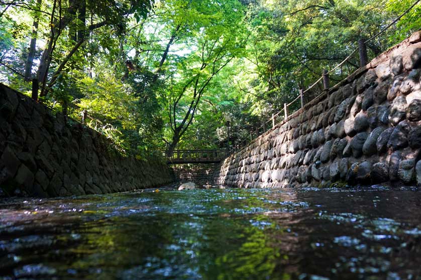 Todoroki Valley, Setagaya, Tokyo, Japan.