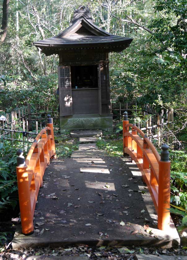 Todoroki Valley, Setagaya, Tokyo, Japan.