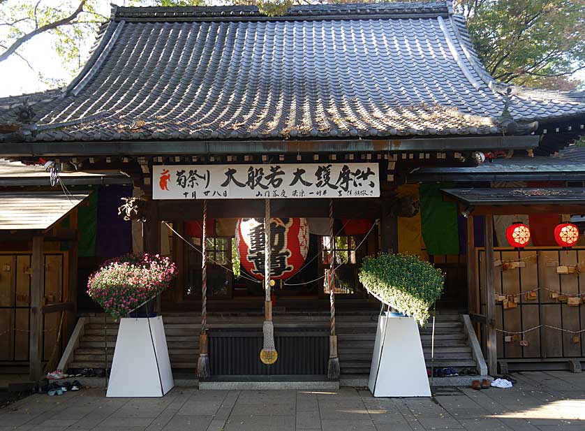 Todoroki Fudoson Temple is worth the short walk.