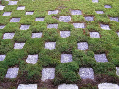 Tofukuji Moss, Kyoto