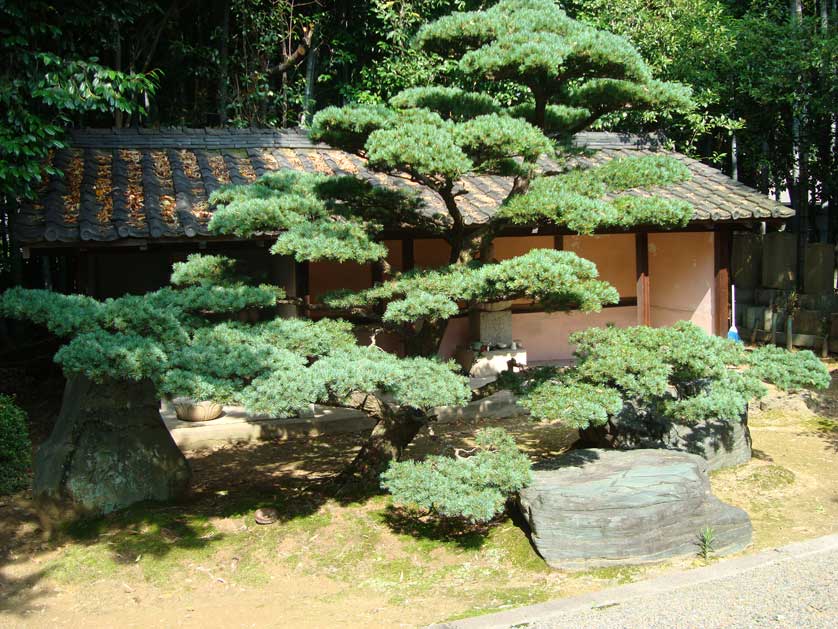 Toganji Temple, Motoyama, Nagoya, Japan.