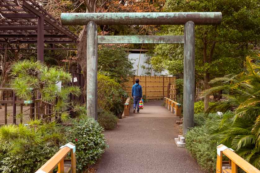 Sacred torii arch in garden of Togo Jinja Shrine, Harajuku, Tokyo.