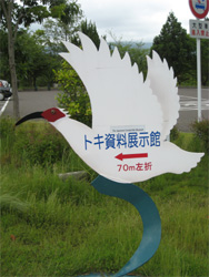 Japanese Crested Ibis Conservation Center, Sado.