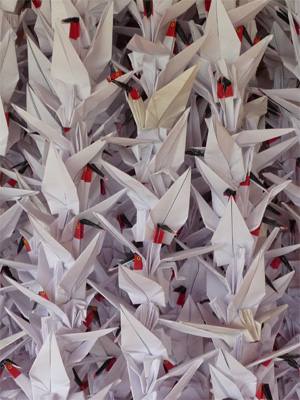 Japanese Crested Ibis.