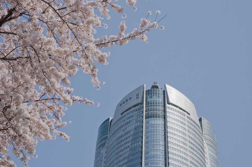 Cherry blossom and Roppongi Hills, Tokyo.