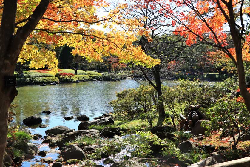 Showa Kinen Koen, Tokyo, Japan.