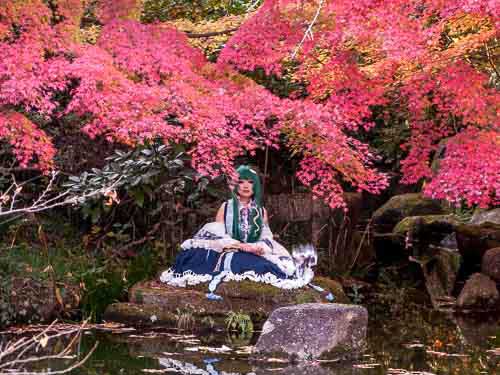 Cosplay and Koyo (fall colors), Tokyo, Japan.