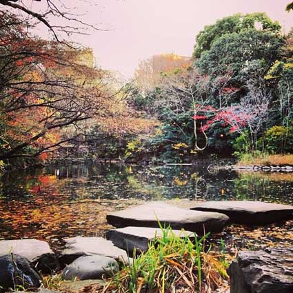 Hongo Campus, Tokyo University, Tokyo.