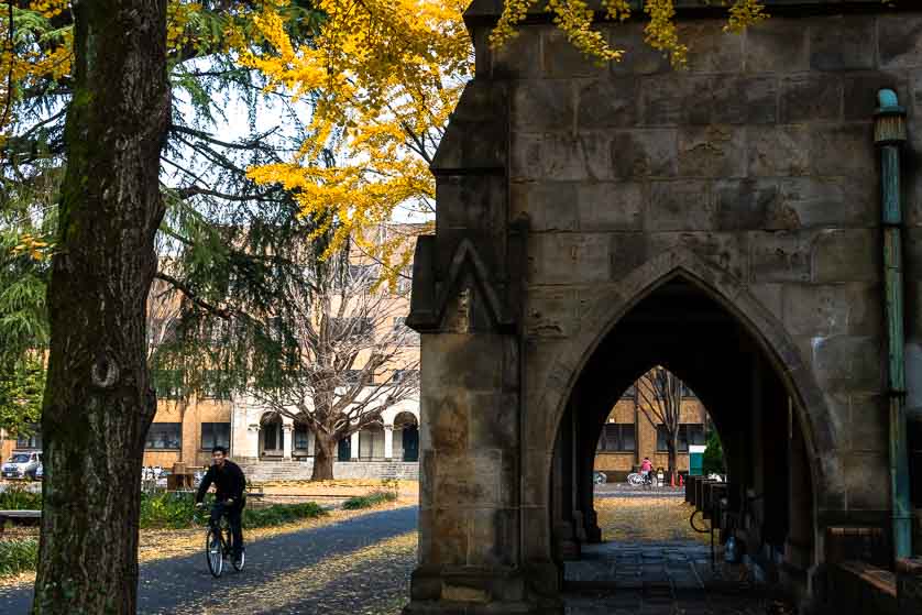 Cycling through the Hongo Campus, University of Tokyo, Bunkyo ward, Tokyo.