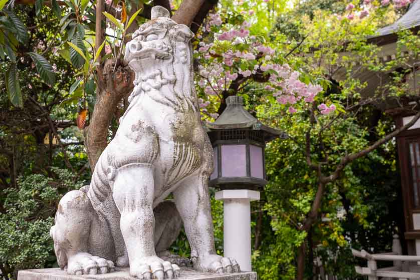 Komainu lion, Torigoe Shrine, Taito-ku, Tokyo.