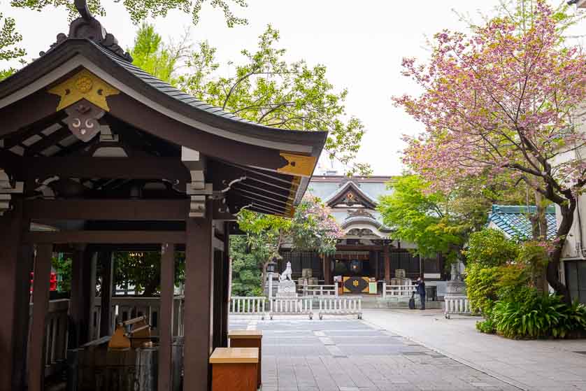 Inside Torigoe Shrine, Taito-ku, Tokyo.