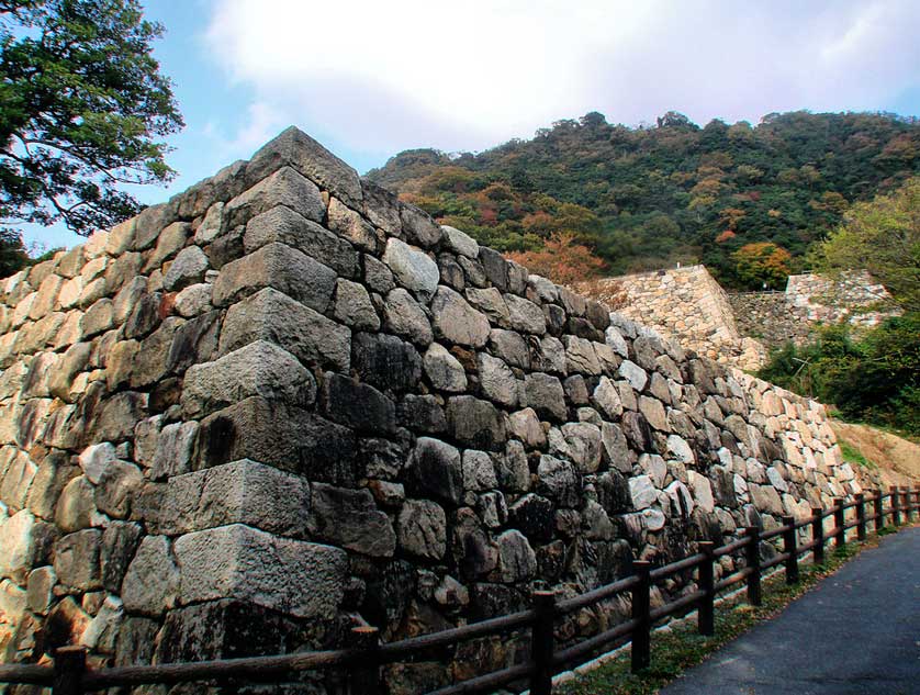 Tottori Castle.