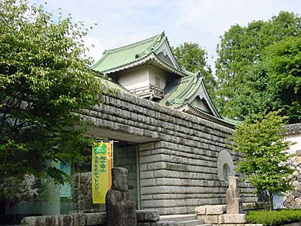 View of Toyama Castle buildings.