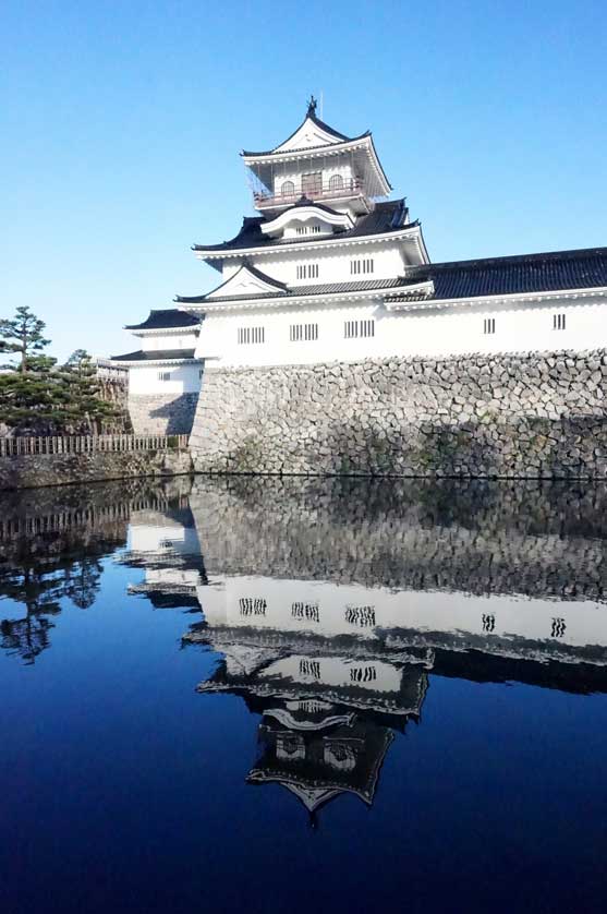 View of Toyama Castle buildings.