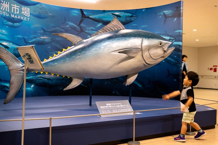 Model tuna on display at Toyosu Market, Tokyo.