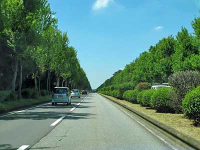 Tsukuba driving.