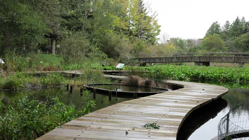 Botanical Garden, Tsukuba, Ibaraki Prefecture.