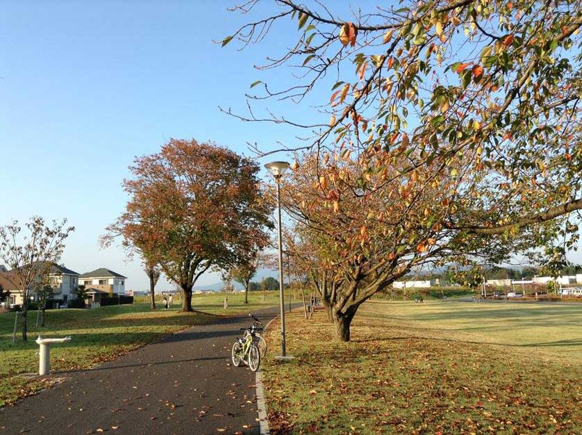 Gakuen no Mori Park, Tsukuba, Ibaraki Prefecture.