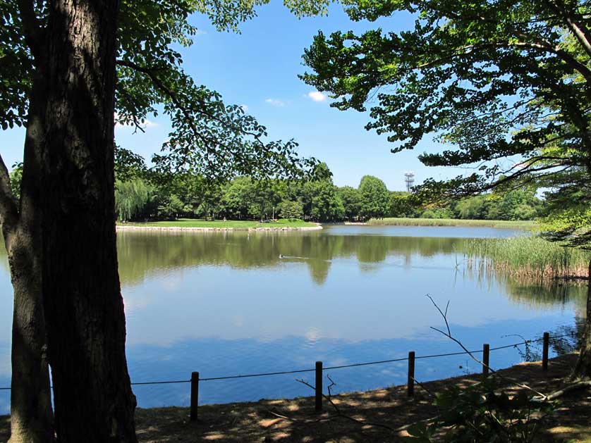 Doho Park, Tsukuba, Ibaraki Prefecture.
