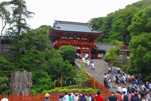 Tsurugaoka Hachimangu, Kamakura.