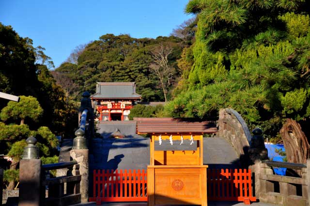 Tsurugaoka Hachimangu, Kamakura.
