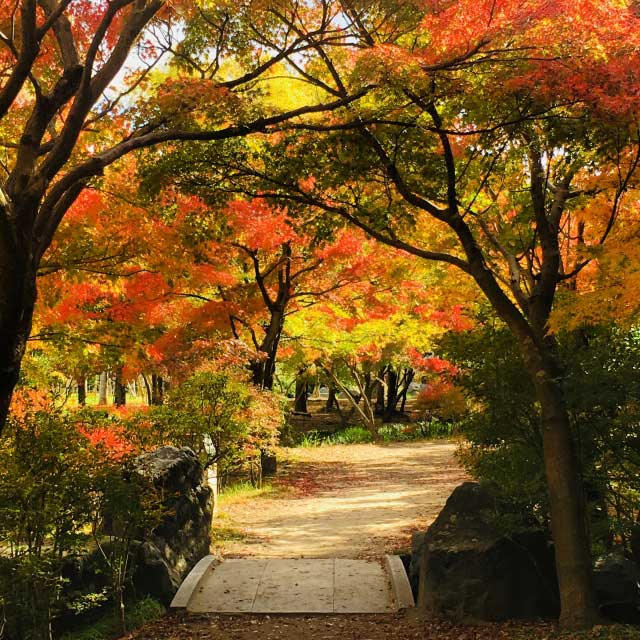 Umekoji Park.