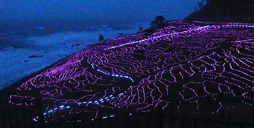 Senmaida Rice Terraces Illuminated, Wajima, Ishikawa.