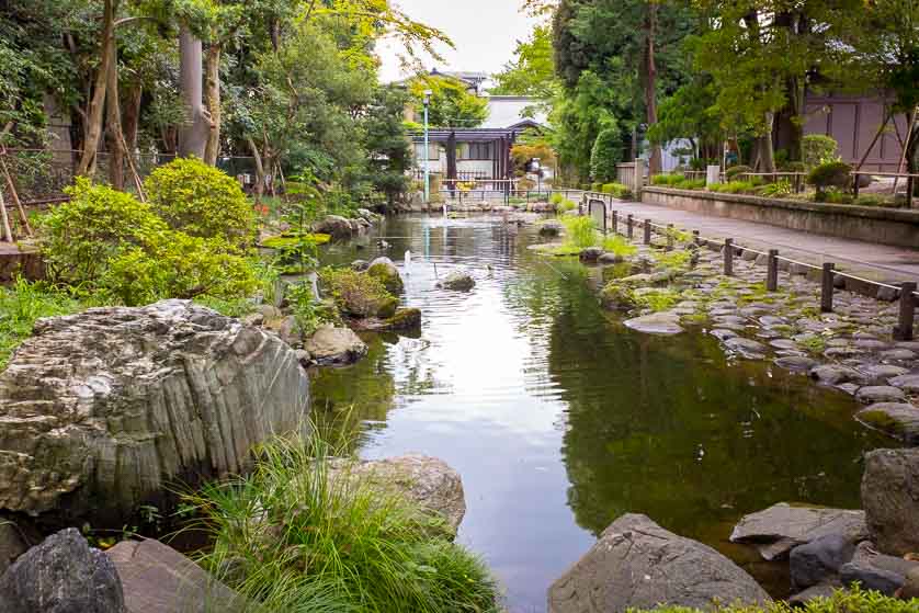 Warabi Park, Warabi, Saitama Prefecture.