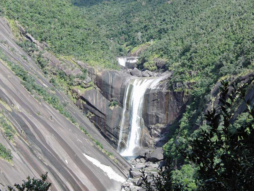 Yakushima Island, World Heritage site.