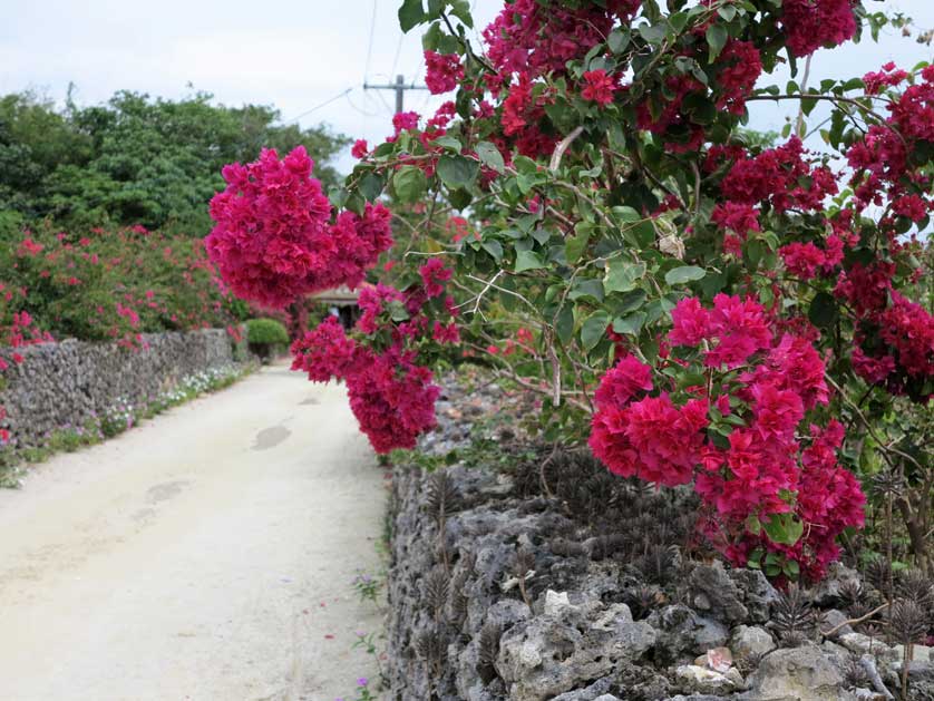 Taketomi Island, Yaeyama Islands, Okinawa.